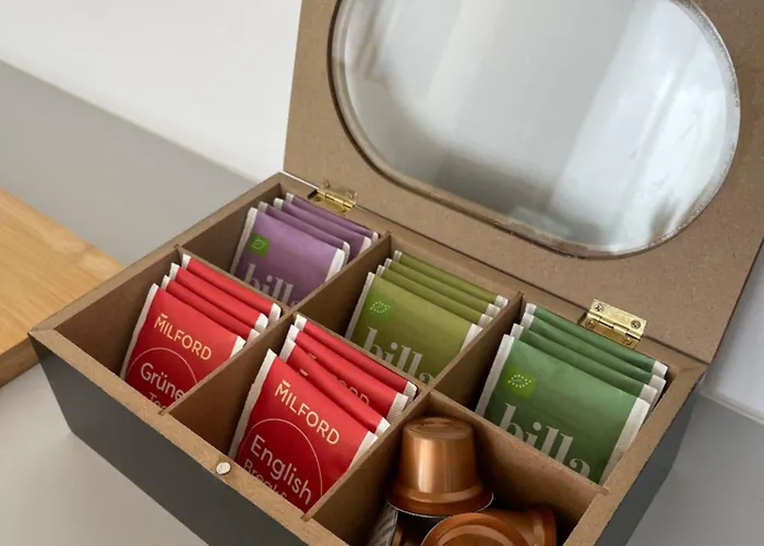 In Mit Klima Sova 3 Appartamento Graz